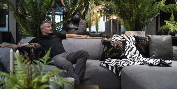 Urban Jungle: Lass den Tiger raus!