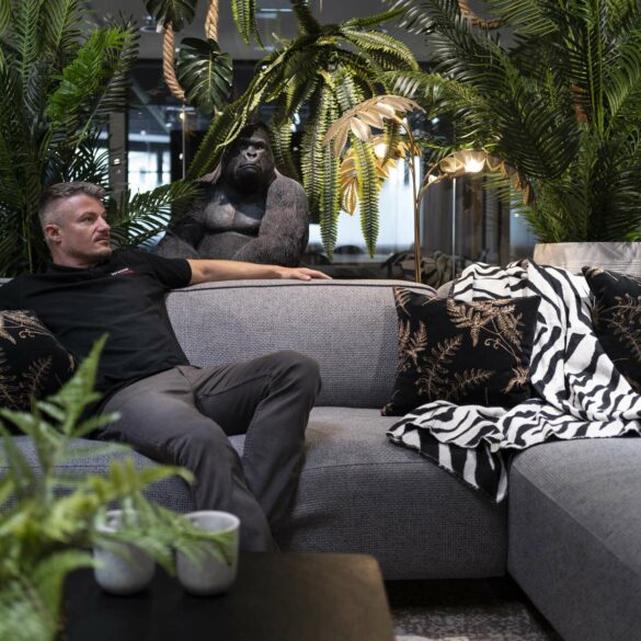 Urban Jungle: Lass den Tiger raus!